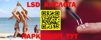 эйфоретик Бердск