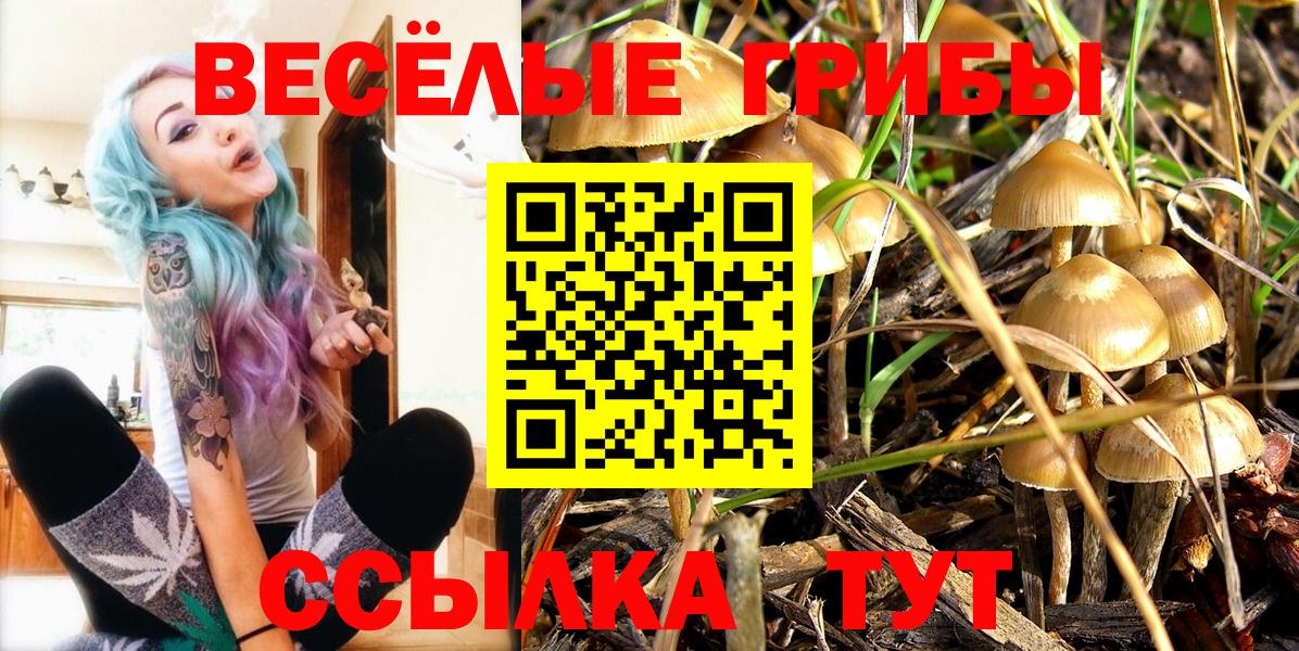 Галлюциногенные грибы Psilocybine cubensis Приморско-Ахтарск